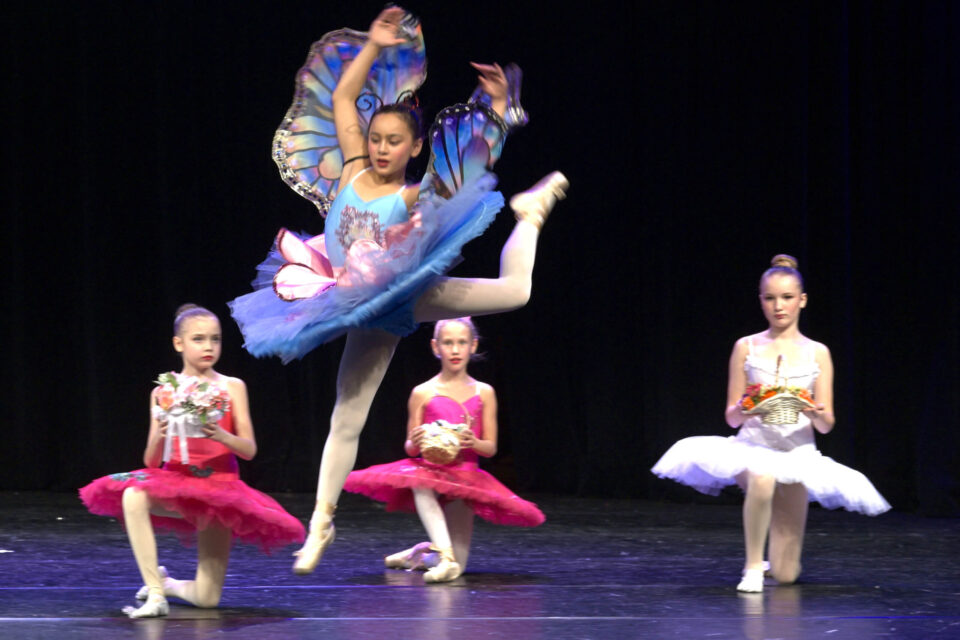 Die ersten Schritte in die Welt des Balletts